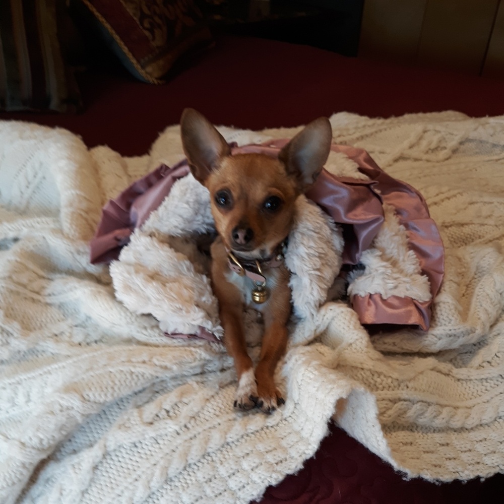 No low-balling please